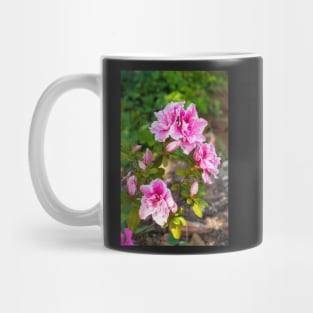 Pink Azalea Flowers Mug